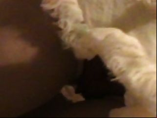 charming giant huge gaping pussy cunt big hole free tubes 4