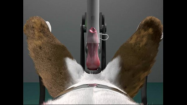 gay furry dildo porn xxx